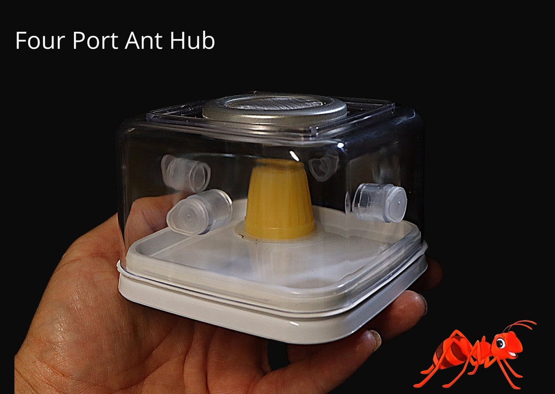 Ant Hub Ideal Way to Connect up Your Ant Farms and Outworlds - Etsy