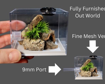 Fully Furnished Ant Outworld-Ideal Add On For Your Ant Farm