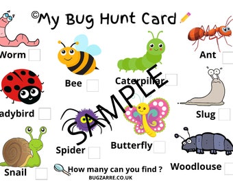 Preschool Bug Mini Beast Spotter Sheet Download