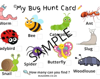 Preschool Bug Mini Beast Spotter Sheet Download