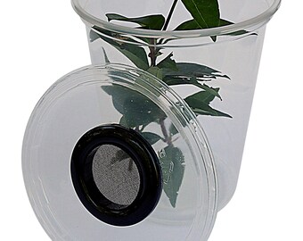 Critter Cups Ideal Starter Homes For All Manner of Invertebrates