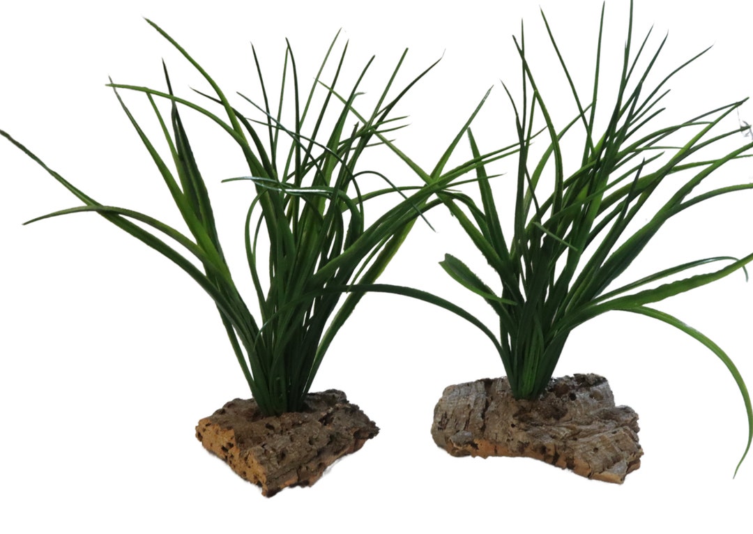 Artificial Vivarium Plants Green Sword Grass Mounted Onto Cork Bark