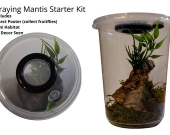 Praying Mantis Starter Kit Includes All Decor And Insect Pooter