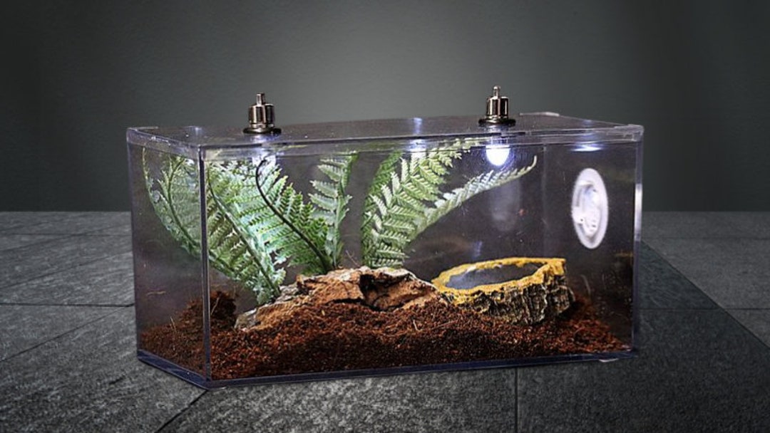 Mini Vivarium and Lights Ideal for Frogs,tarantulas & Other Ground