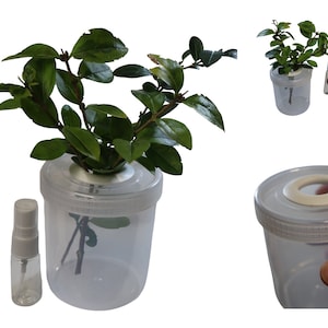 Large Twig Pot & Mini Spray Bottle-Ideal for Stick Insects and Leaf Insects