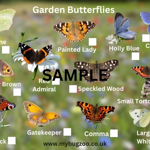 Scarica la scheda Spotter delle farfalle del giardino britannico