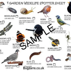 Carta Di avvistamento della fauna selvatica del giardino
