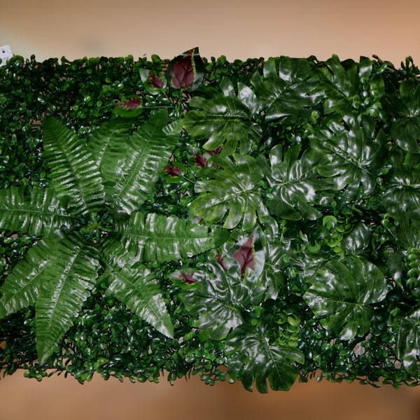 Vivarium Background Etsy UK