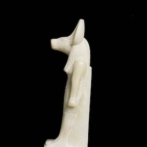 Ancient Egyptian Doctor Anubis Jackal God of Afterlife with Egyptian hieroglyphs image 1