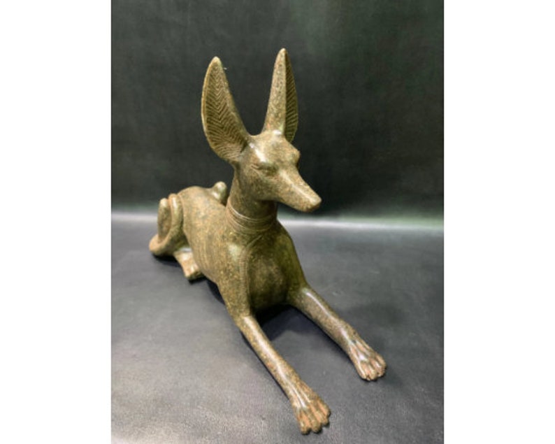 Anubis Jackal God of Afterlife & Mummification Seated To Protect The Dead Doctor Anubis jackal dog . image 1