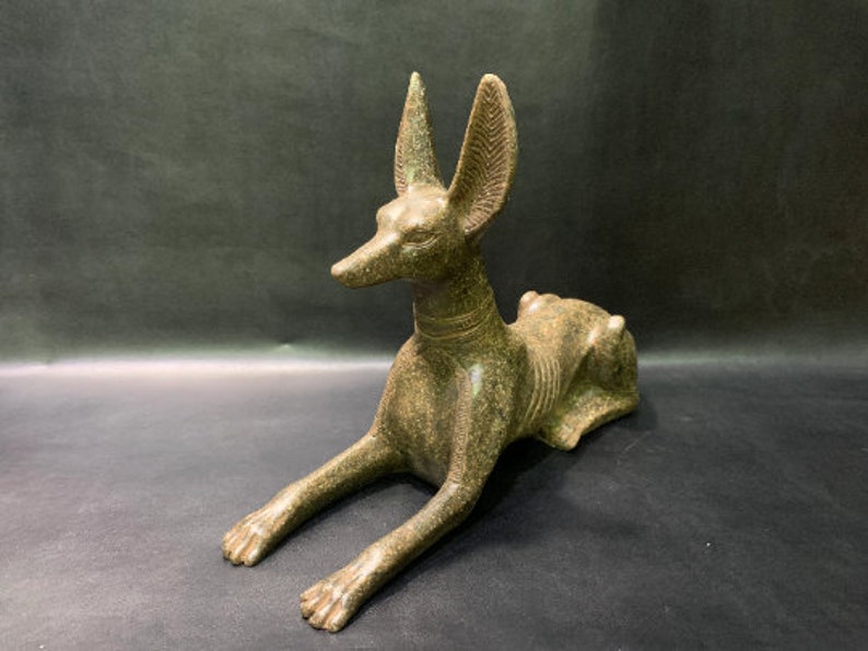 Anubis Jackal God of Afterlife & Mummification Seated To Protect The Dead Doctor Anubis jackal dog . image 5