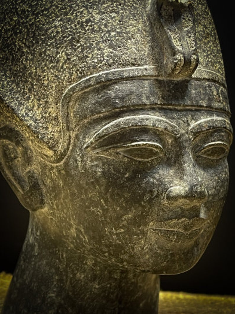 Egyptian King Tutankhamun, King Tut, Tutankhamun head image 7