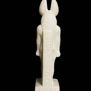 Ancient Egyptian Doctor Anubis Jackal God of Afterlife with Egyptian hieroglyphs image 3