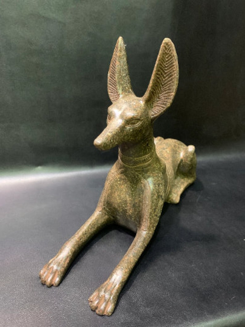 Anubis Jackal God of Afterlife & Mummification Seated To Protect The Dead Doctor Anubis jackal dog . image 3