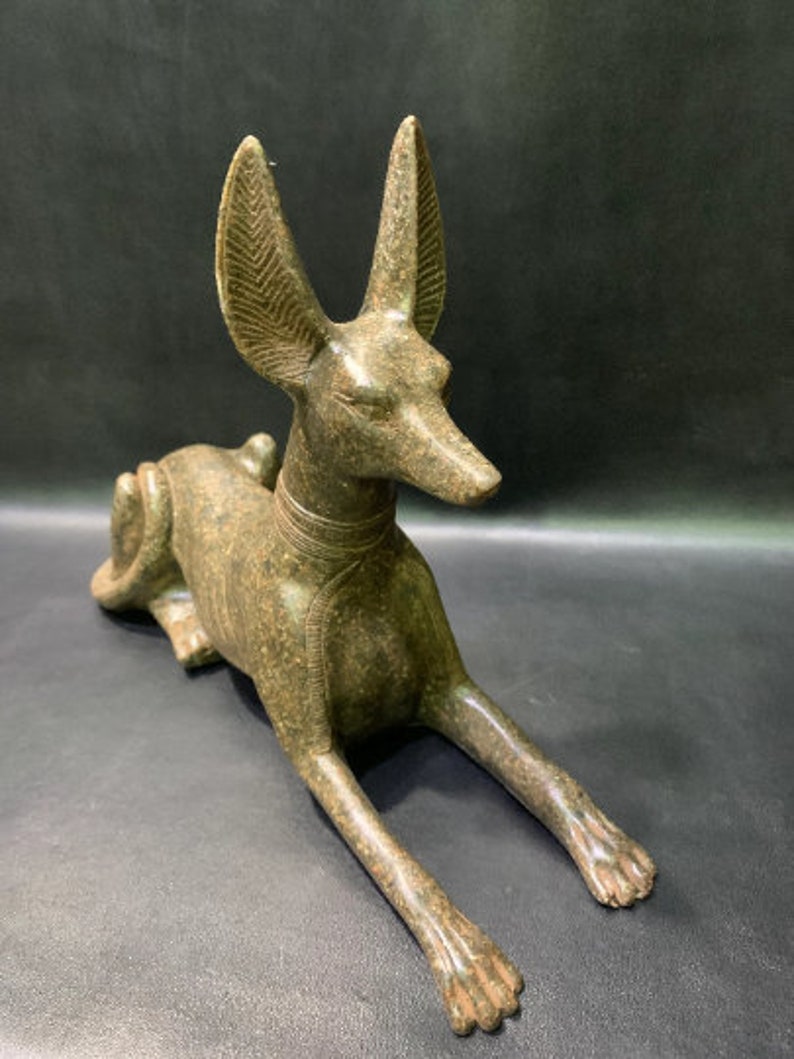 Anubis Jackal God of Afterlife & Mummification Seated To Protect The Dead Doctor Anubis jackal dog . image 4