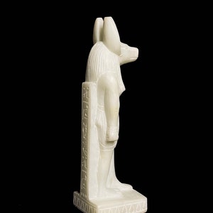 Ancient Egyptian Doctor Anubis Jackal God of Afterlife with Egyptian hieroglyphs image 5