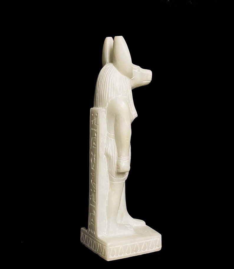 Ancient Egyptian Doctor Anubis Jackal God of Afterlife with Egyptian hieroglyphs image 5