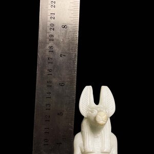 Ancient Egyptian Doctor Anubis Jackal God of Afterlife with Egyptian hieroglyphs image 4