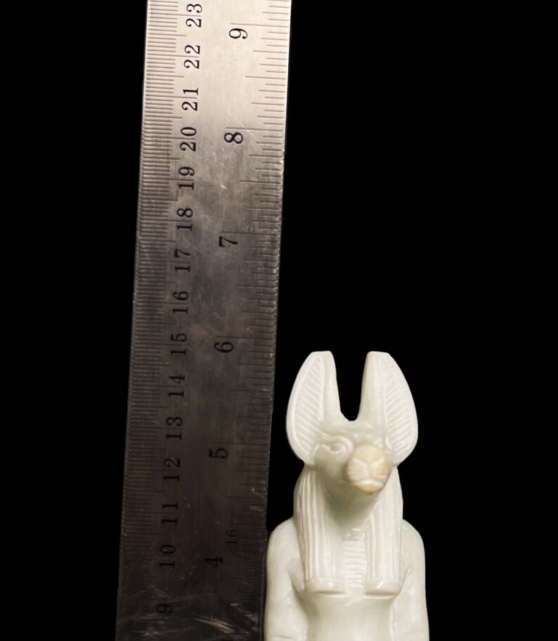 Ancient Egyptian Doctor Anubis Jackal God of Afterlife with Egyptian hieroglyphs image 4