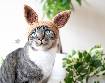 eevee cat costume