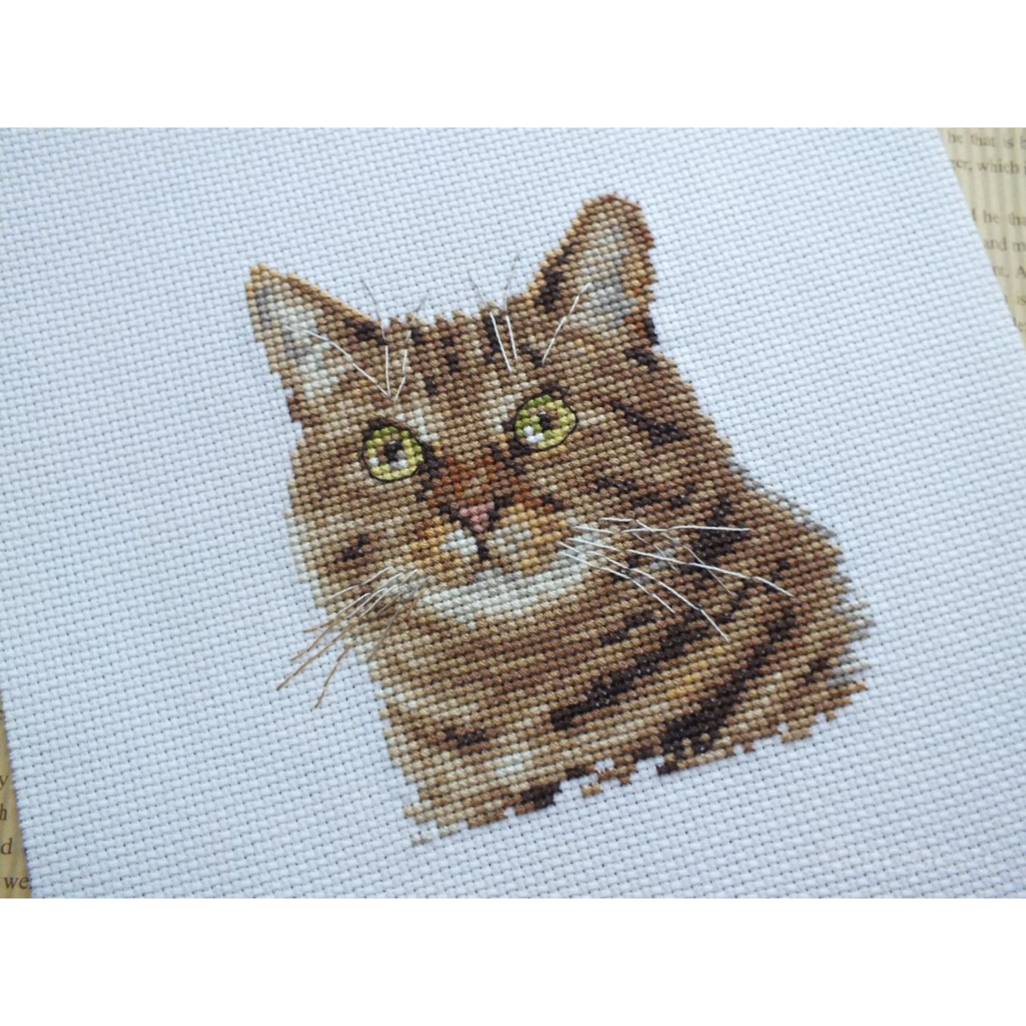 European Cat Cross Stitch Kit Animal Cross Stitch Pattern Сat Etsy