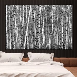 Birch Grove Canvas Print, Deciduous Forest Decor Wall Art