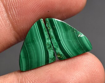 Coppia di orecchini in malachite verde - Cabochon all'ingrosso, a forma fantasia, gemme con retro piatto per la creazione di gioielli, set coordinato con malachite