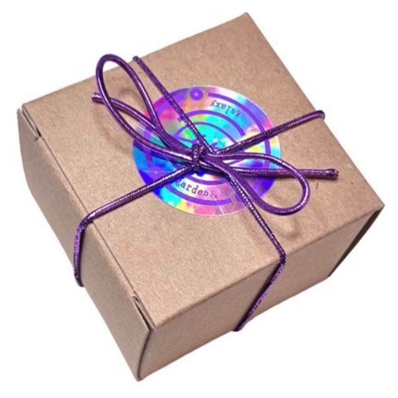 May include: A brown cardboard box with a purple ribbon tied around it. The box has a holographic sticker on the top that says "galaxy garden & co."