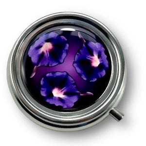 Pill Box with Clasp, Portable Pill Case, Pill Storage Pillbox
