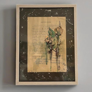 Può includere: Un'opera d'arte incorniciata con un'arrangiamento di fiori pressati su un documento vintage. Il documento è in una lingua straniera e include firme manoscritte. L'opera d'art è posizionata su uno sfondo marrone scuro.