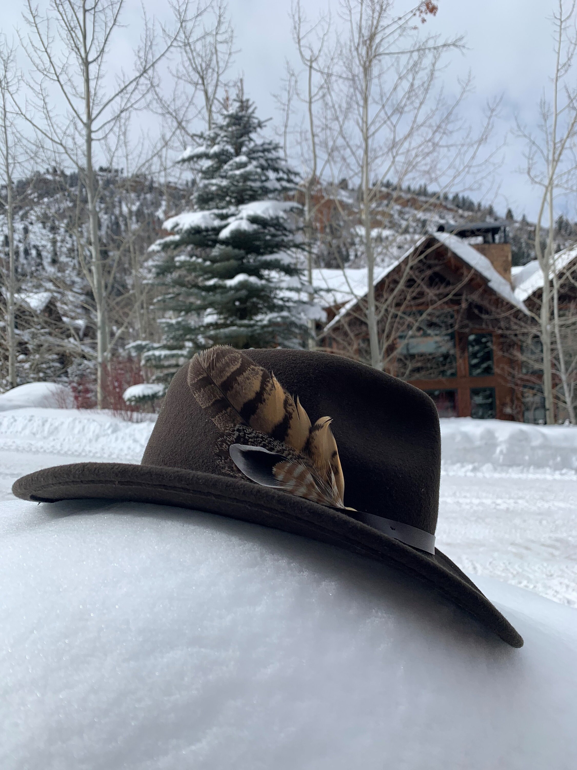 Western Hat Feathers Australia