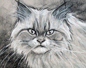 Original Charcoal Drawing of Fluffy Doll Face Persian Cat | Classic Long Hair Floof Kitty Character Illustration | Caricature Pet Portrait