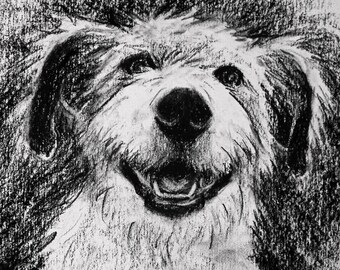 Original Charcoal Drawing Art | Cute Little White Dog | Small Fluffy Pup Character Illustration | Caricature Inspired Shaggy Canine Portrait