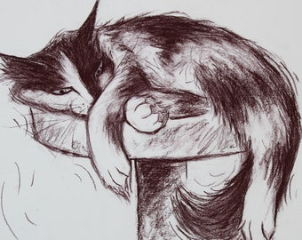 Original Kohlezeichnung von Fluffy Bicolor Tux Katze | Braun Weiß gescheckte Kitty Charakter Illustration | Tuxedo Pussycat Karikatur Portrait