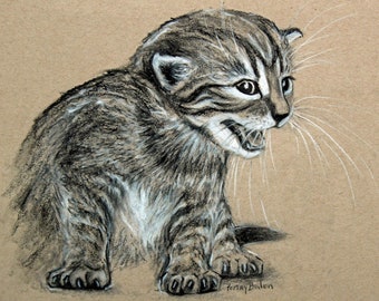 Original Charcoal & White Drawing of Cute Little Baby Tabby Kitten Mewing | Rescue Critter Character Illustration | Caricature Pet Portrait