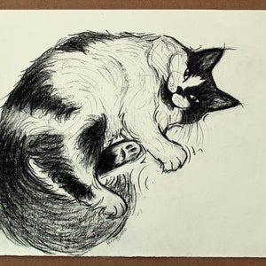 Original Charcoal Drawing of Fluffy Bicolor Tux Cat Black White Piebald Kitty Character Illustration Tuxedo Pussycat Caricature Portrait image 2