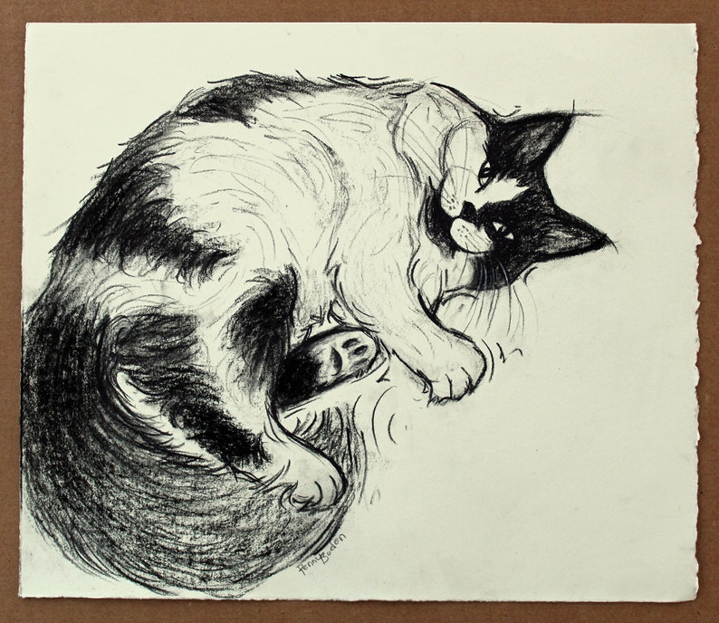 Original Charcoal Drawing of Fluffy Bicolor Tux Cat Black White Piebald Kitty Character Illustration Tuxedo Pussycat Caricature Portrait image 2