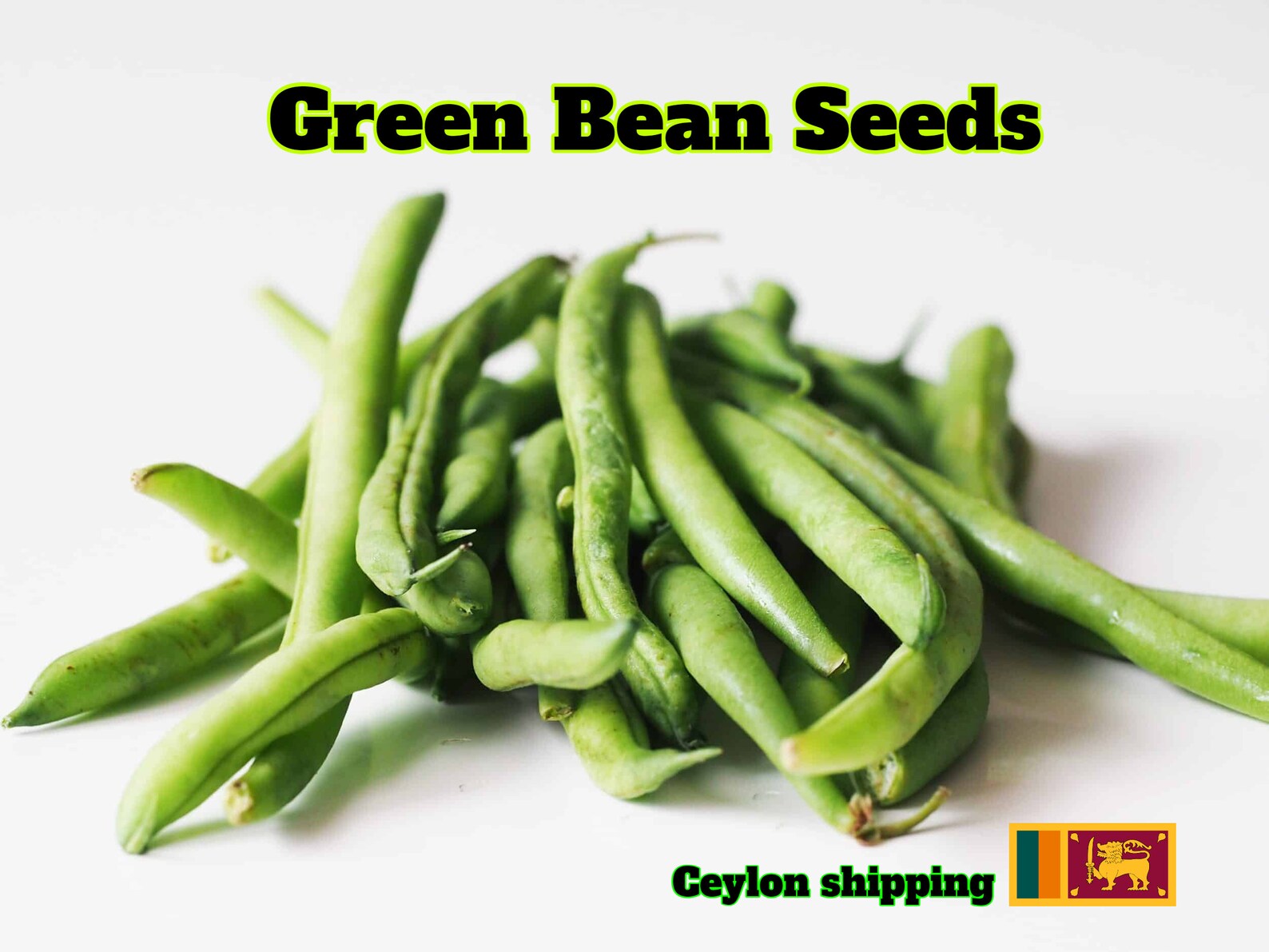 Green Bean Seeds Organic Non GMO Heirloom ceylon String Etsy