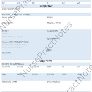 NP SOAP Note Template - Etsy