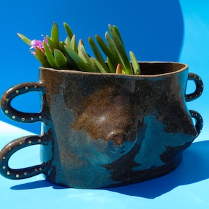 Può includere: Un vaso di terracotta marrone con due manici e una superficie testurizzata. Il vaso ha la forma di un busto e ha una piccola pianta che cresce al suo interno.
