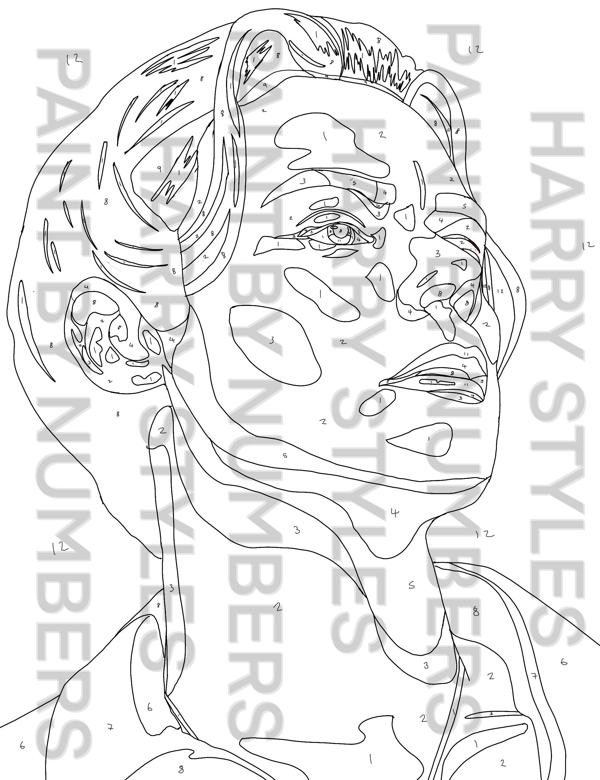 harry styles digital paint by numbers download etsy ireland