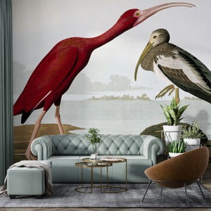 Scarlet Ibis Wallpaper | Vintage Animal Wallpaper | Landscape Wallpaper | Self Adhesive wallpaper |Removable Wallpaper |Peel and Stick Mural