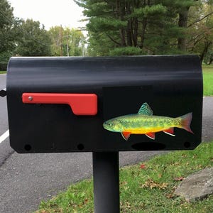 Outdoor Magnet-Trout Fish
