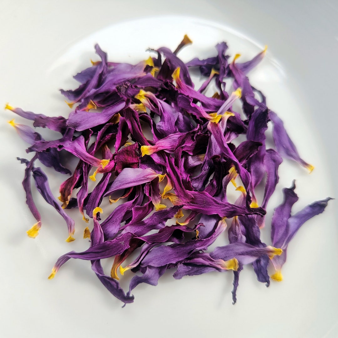 Dehydrated Pure Blue Lotus Flower Petals Bluewater Lily Etsy