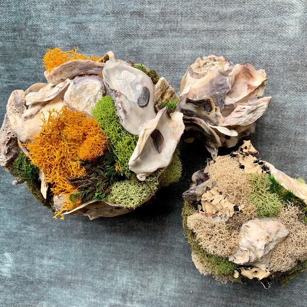 Oyster Shell Art Etsy