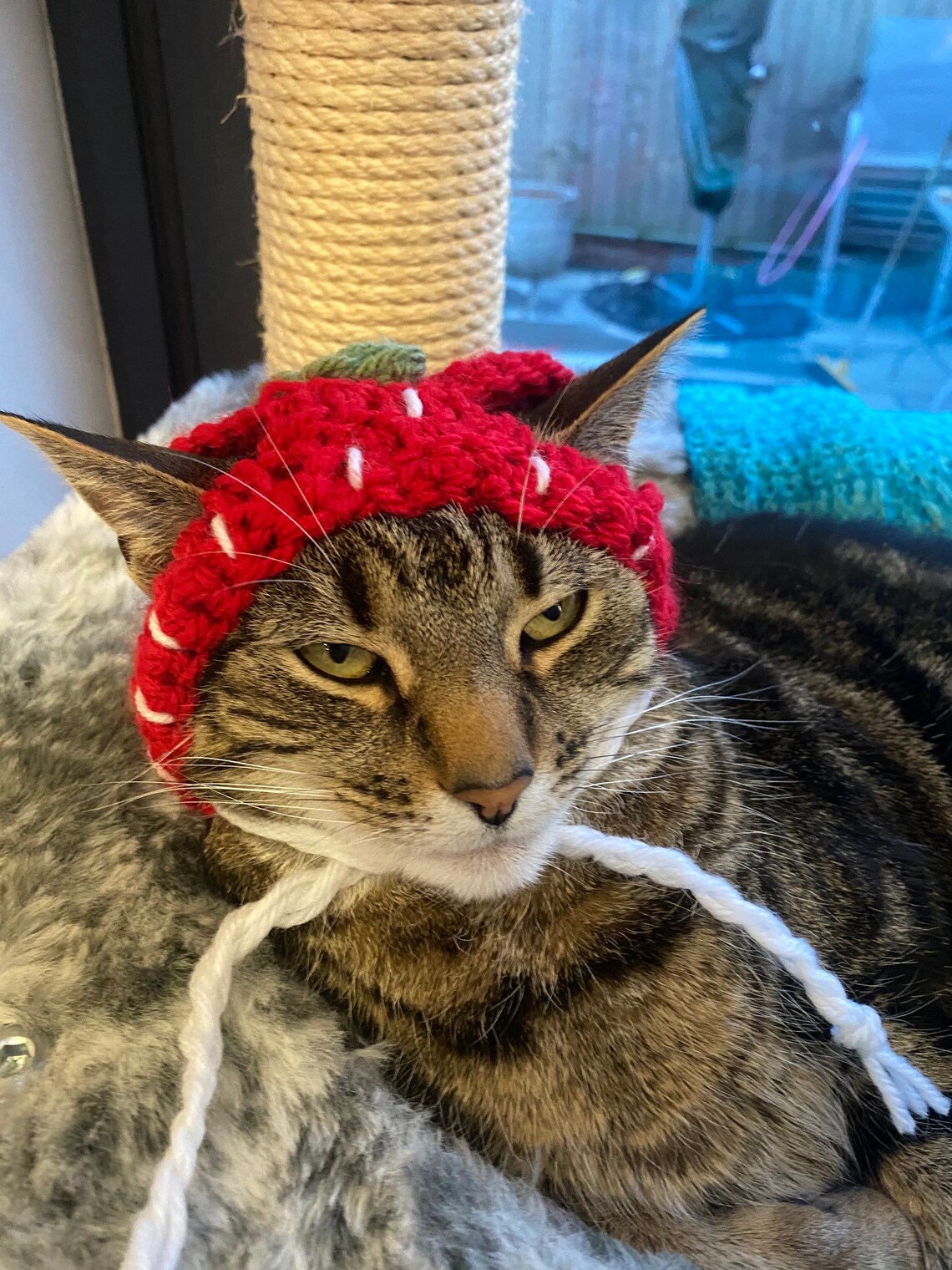 Cute strawberry cat hat Etsy