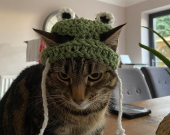 catdog hat