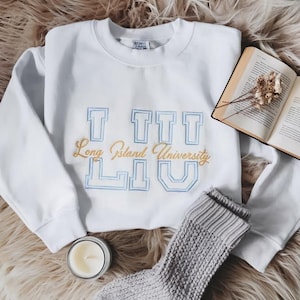 Custom University Embroidered Sweatshirt, Custom College Crewneck, Personalized Name School Shirt, College Apparel Merch, Graduation Gift