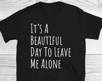 Leave Me Alone Shirt, Introvert Shirt, It's A Beautiful Day To Leave Me Alone Shirt, Sarcastic Shirt, Funny Family Shirt, Sarcasm Lover Gift