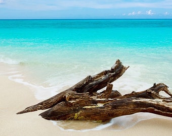 Welche Kriterien es vorm Kauf die Karibische gewürzmischung zu beachten gibt!
